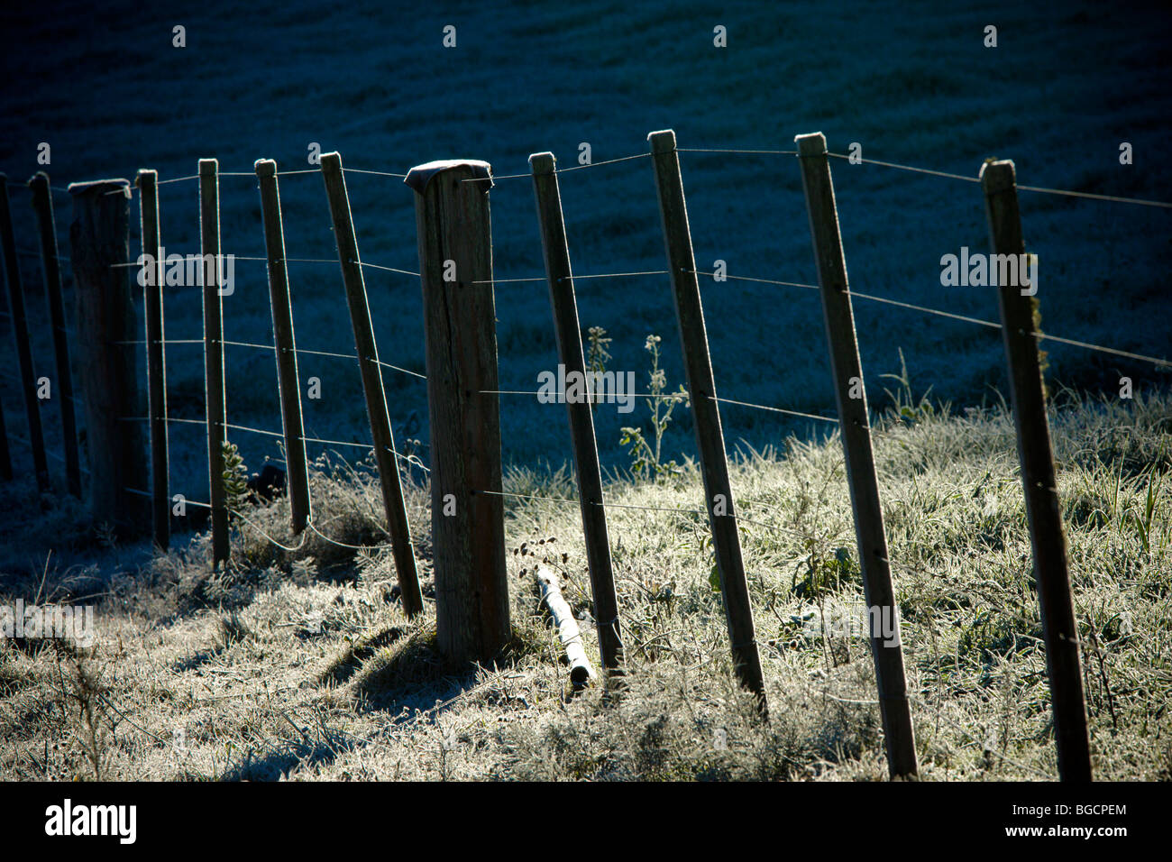 fence in a frozen day Stock Photo - Alamy