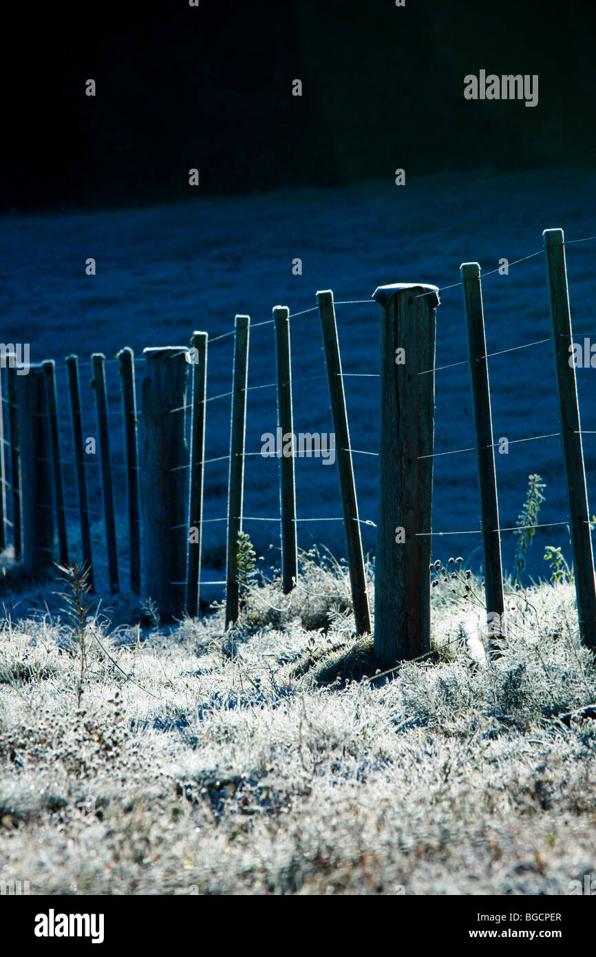fence in a frozen day Stock Photo - Alamy