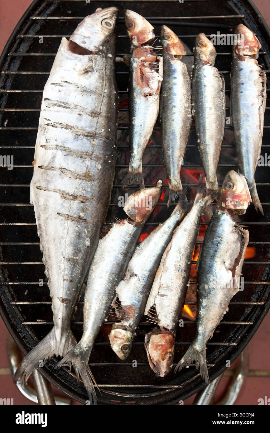 Grilled fish (sardines and a mackerel) cooking on a mini barbecue grill