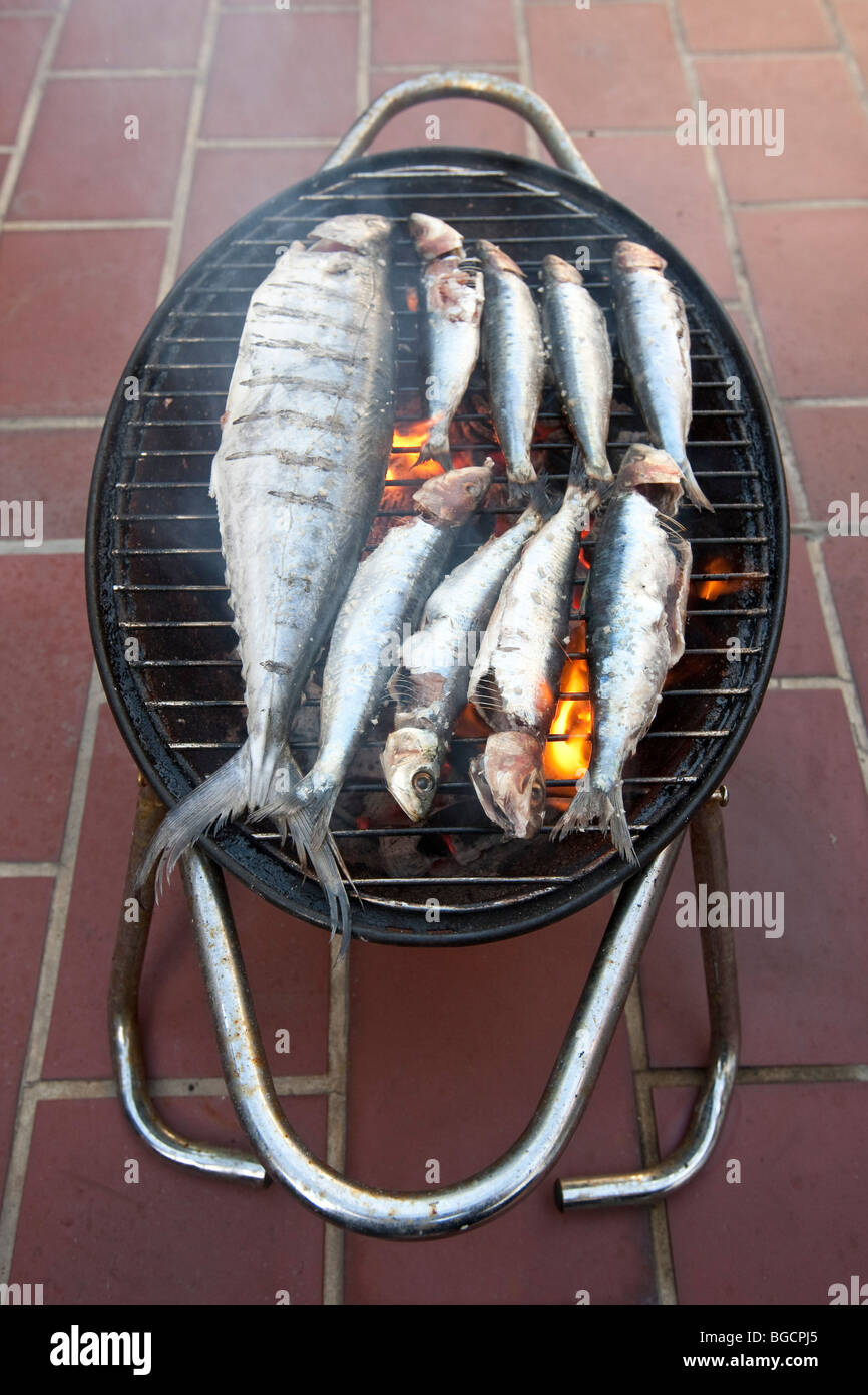 Grilled fish (sardines and a mackerel) cooking on a mini barbecue grill