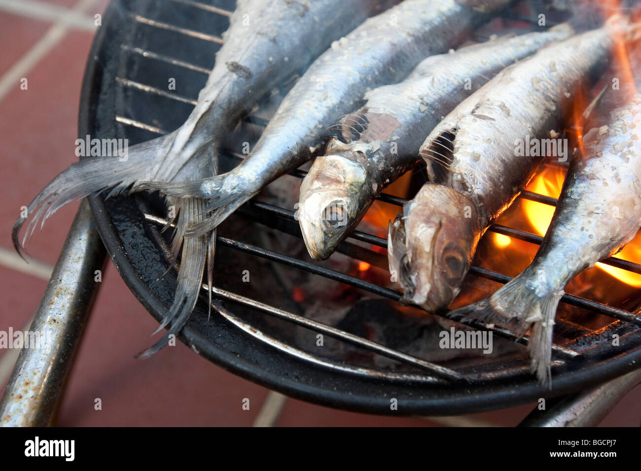 Grilled fish (sardines and a mackerel) cooking on a mini barbecue grill
