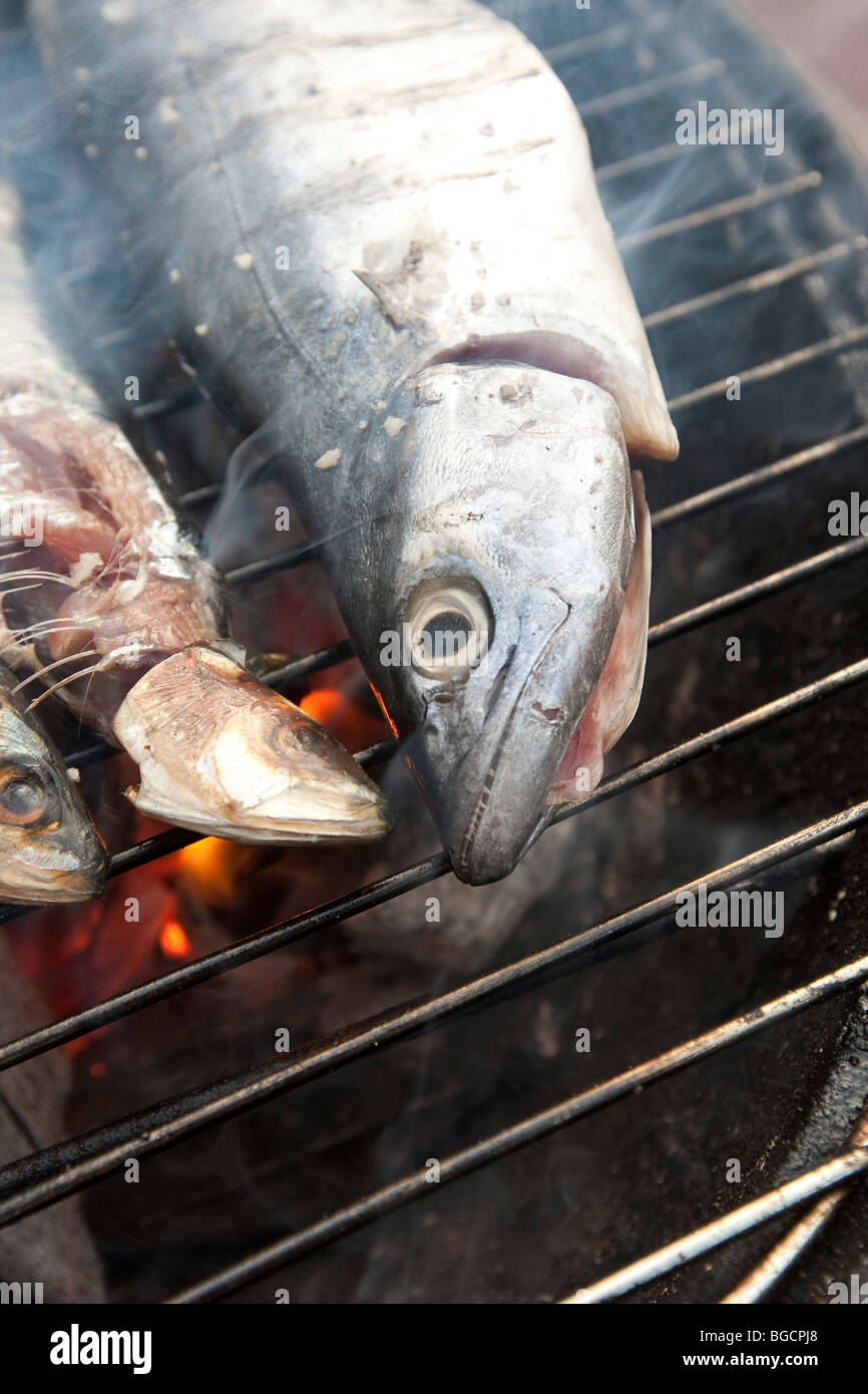 Grilled fish (sardines and a mackerel) cooking on a mini barbecue grill