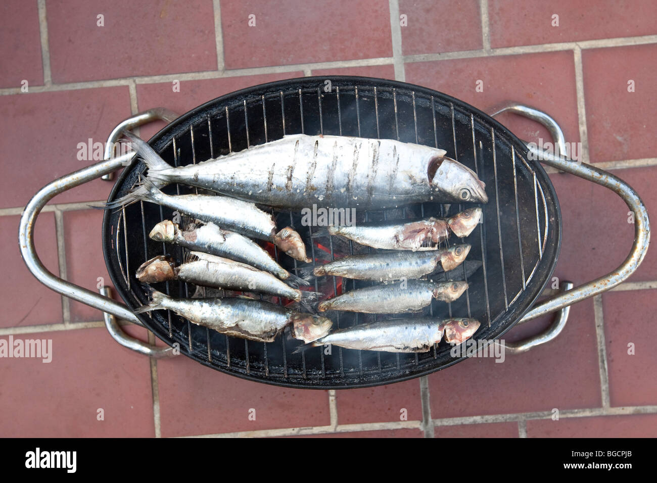 Grilled fish (sardines and a mackerel) cooking on a mini barbecue grill