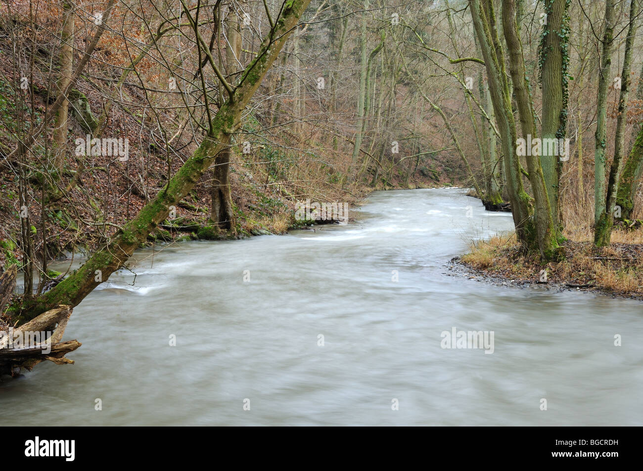 River in wintery forest Stock Photo - Alamy