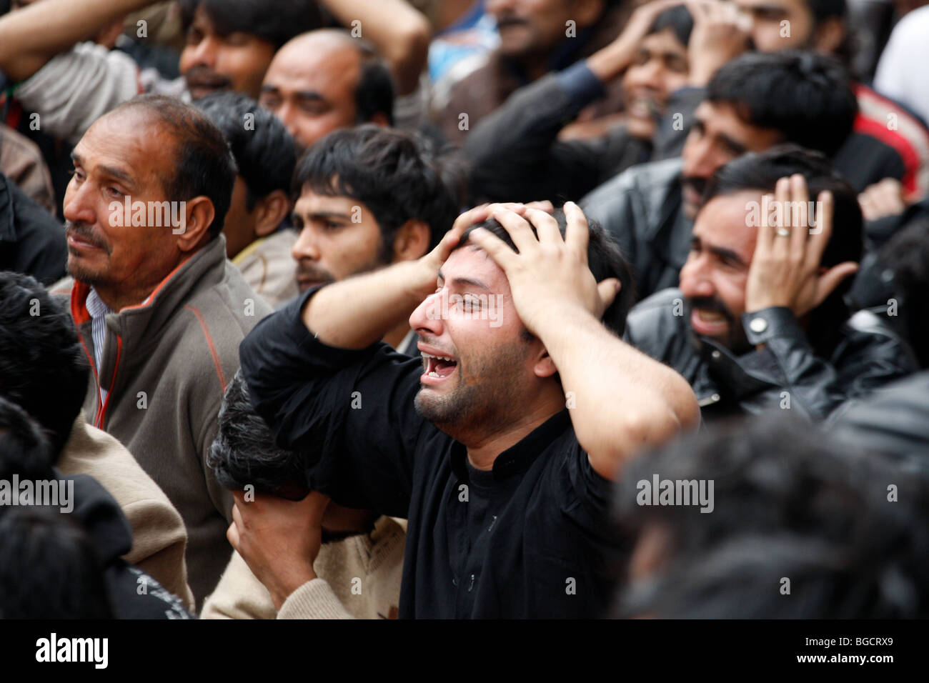 Shia Muslims celebrate Ashura Stock Photo Alamy