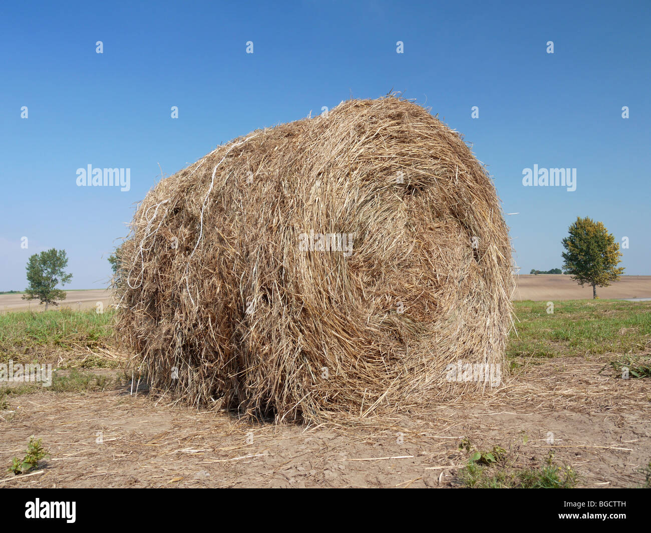 Hay bale drying on the arable field Stock Photo