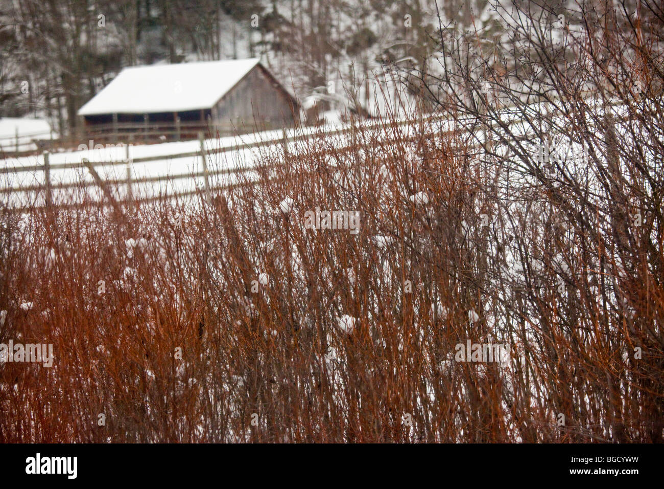 Farmhouse in Upstate New York Stock Photo