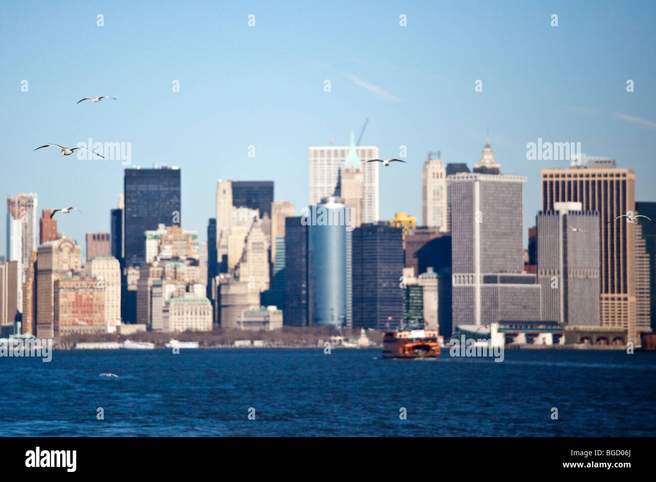 Seagulls and the Manhattan Skyline, New York City Stock Photo