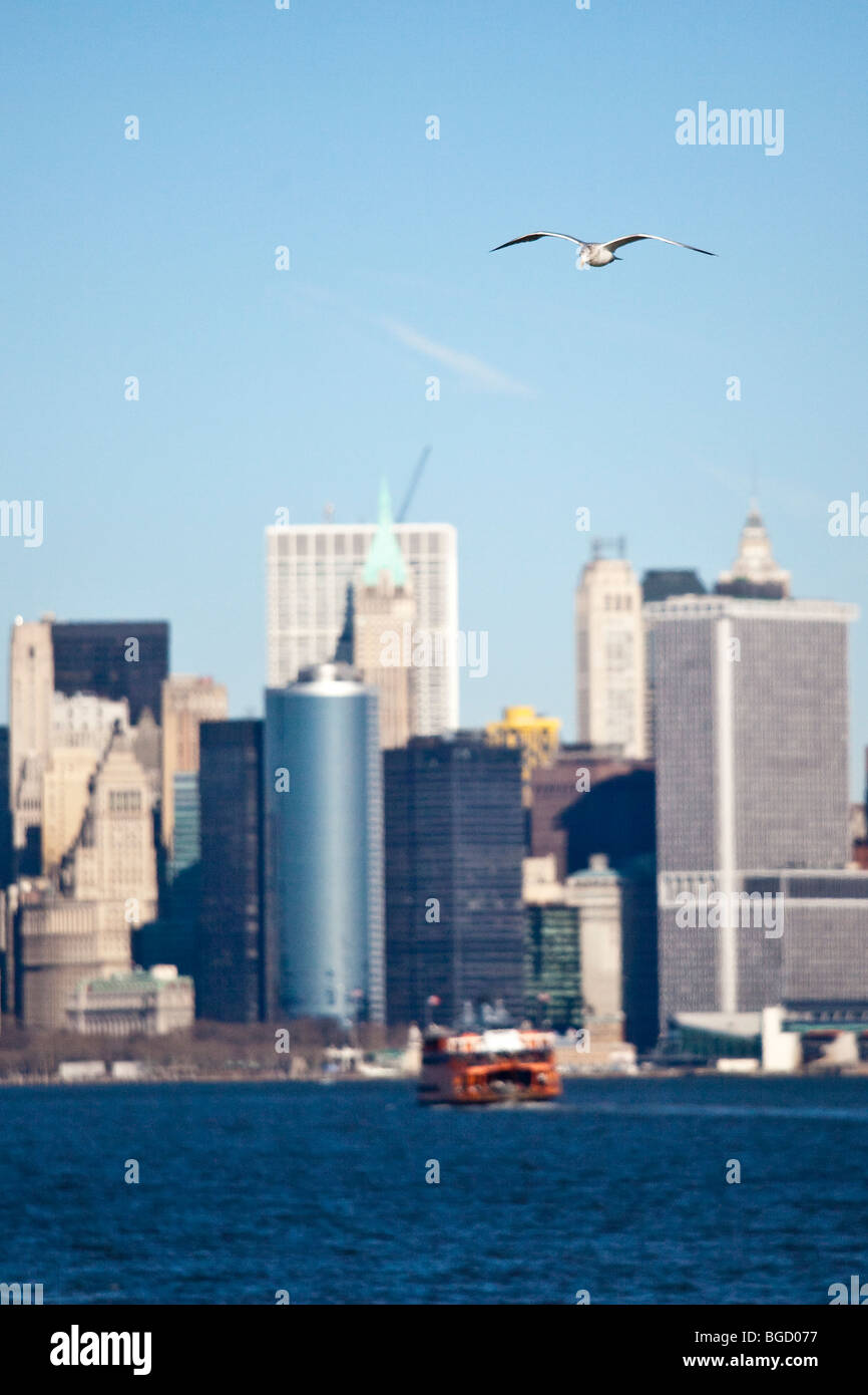 Seagulls and the Manhattan Skyline, New York City Stock Photo