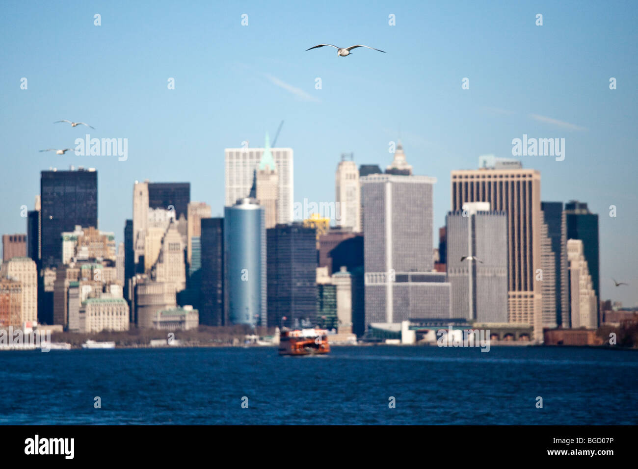 Seagulls and the Manhattan Skyline, New York City Stock Photo