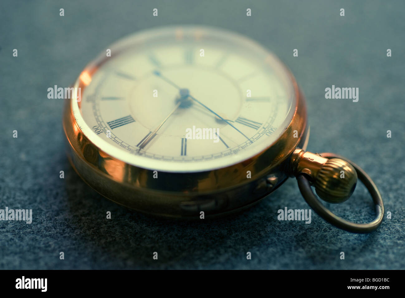 Antique gold fob watch Stock Photo Alamy