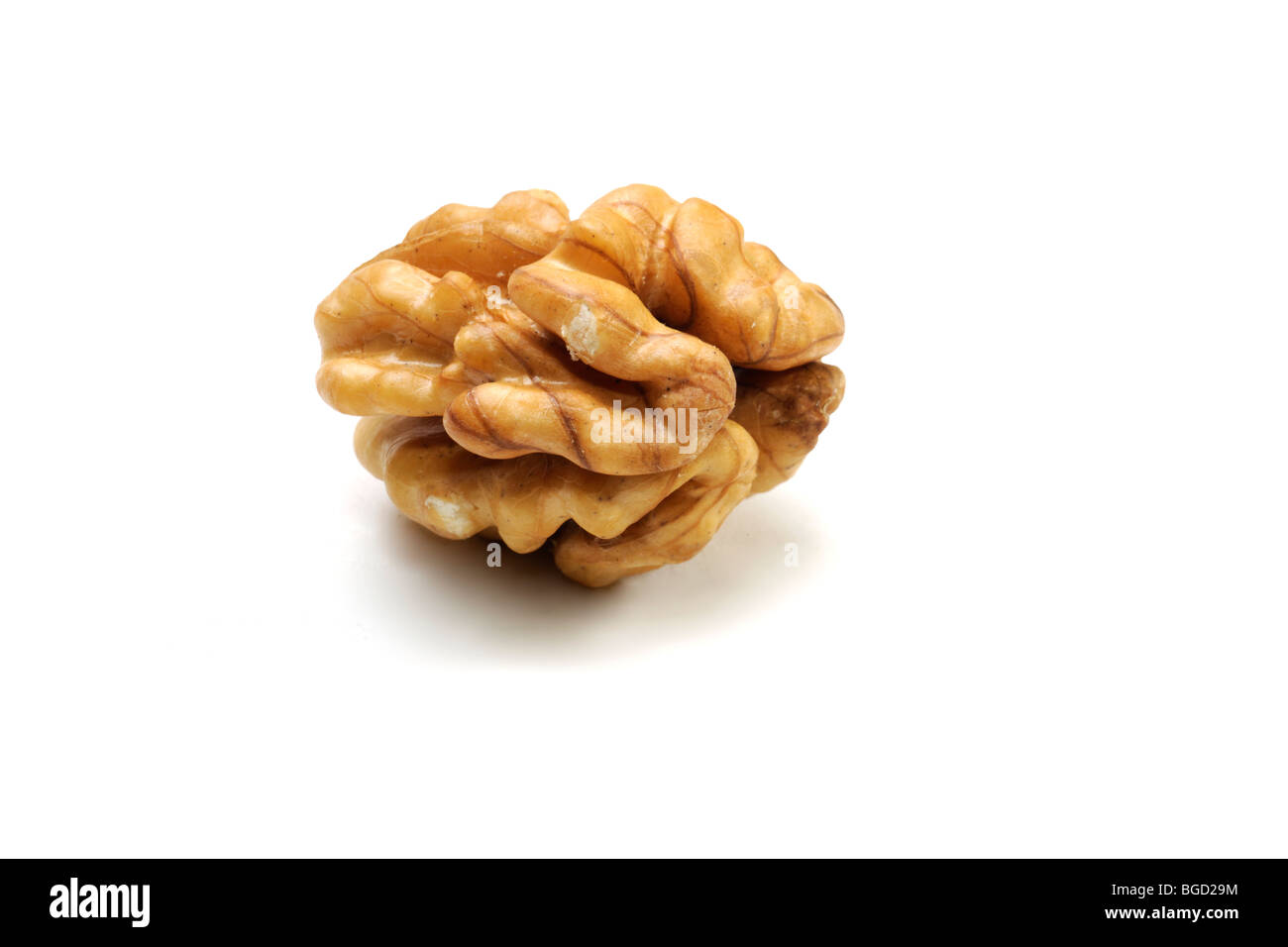 Whole shelled walnut (Juglans L.) on white background Stock Photo