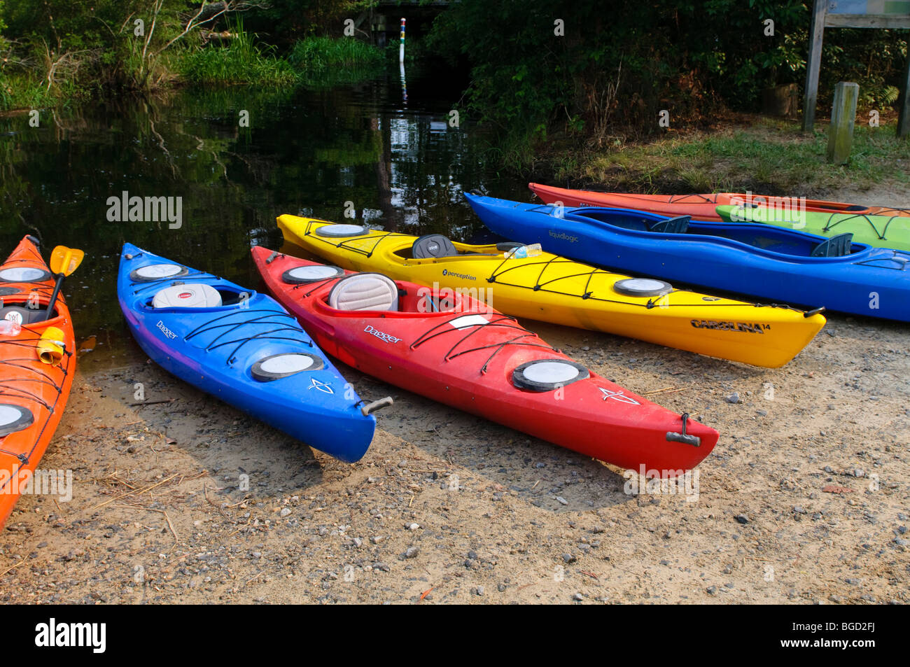 Adventure, kayaks beached on the shoreline Alligator River, North