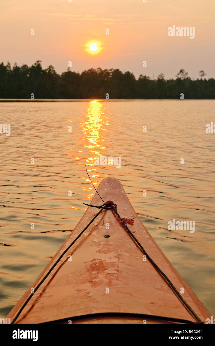 Kayaks on the Alligator River in eastern North Carolina, USA, part of