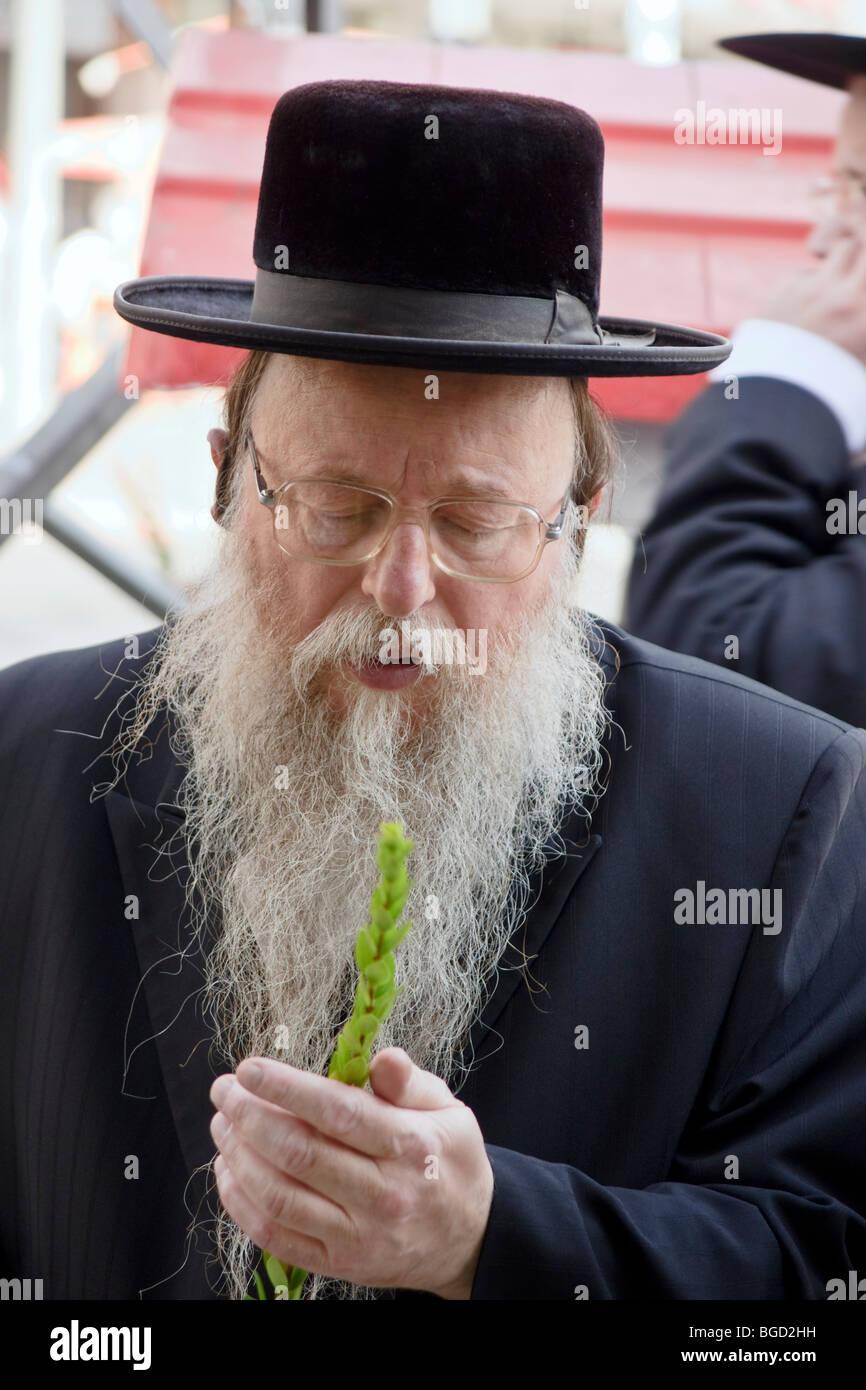 jewish brisk jewish brisk