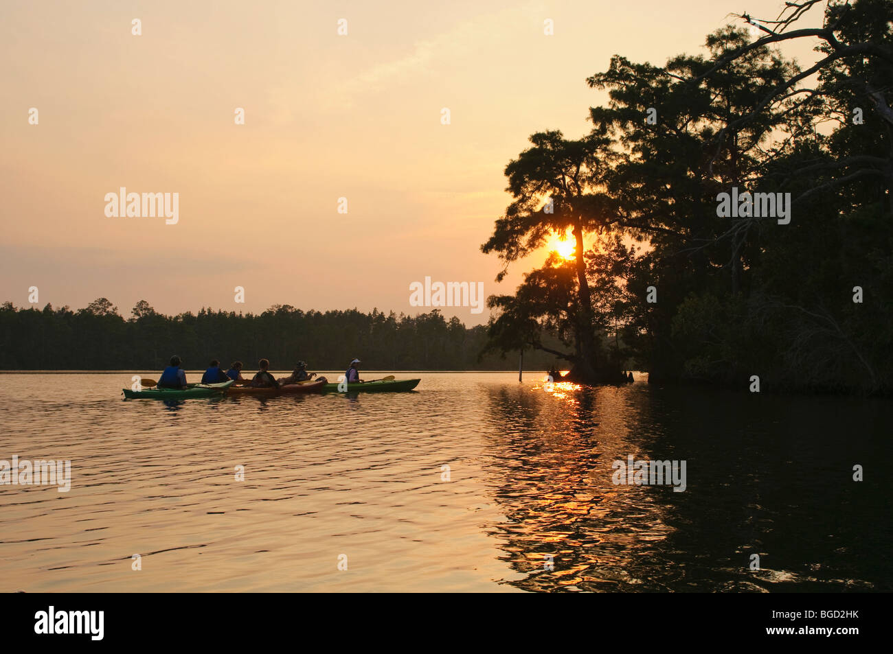 Kayaks on the Alligator River in eastern North Carolina, USA, part of the Alligator River