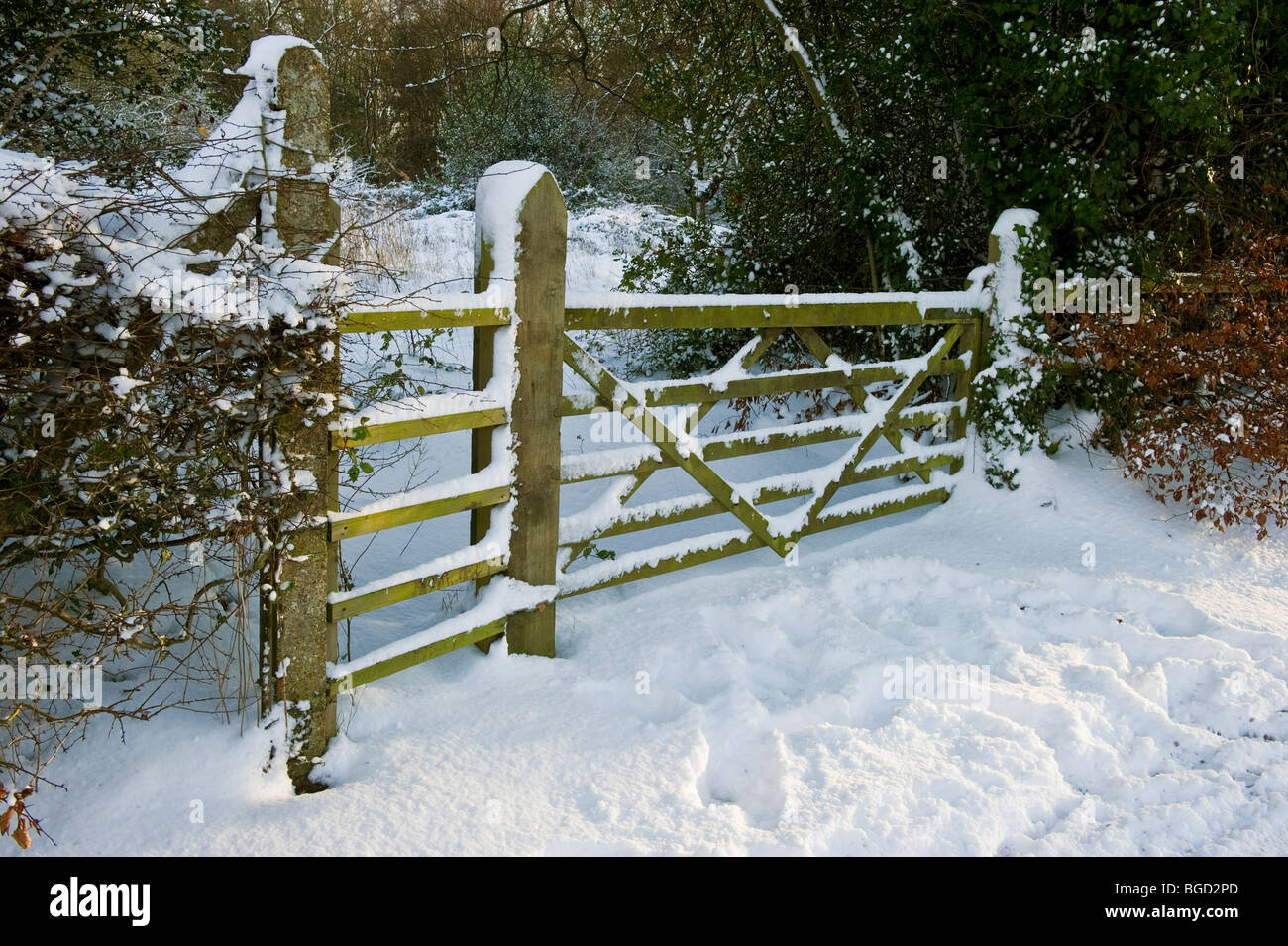 A wooden farm gate in heavy snowfall, Seer Green Buckinghamshire UK Stock Photo