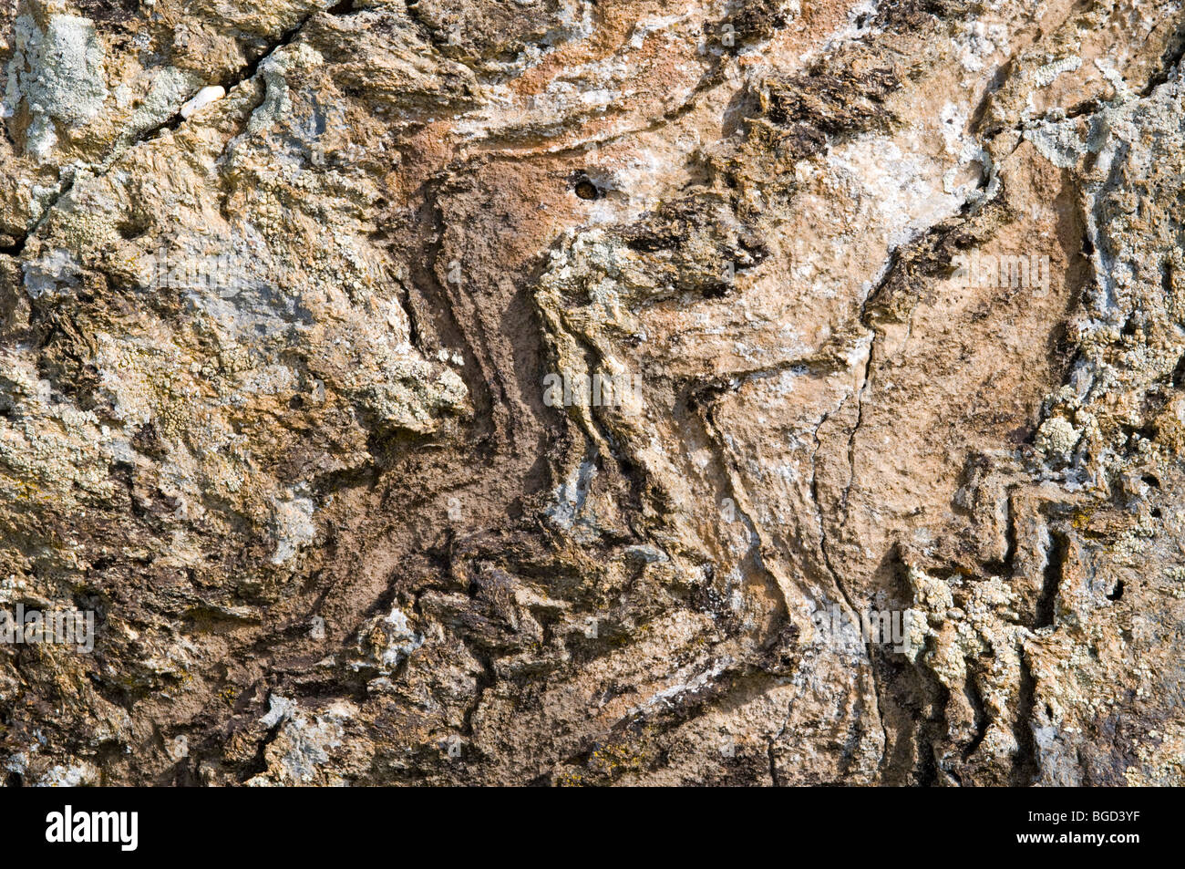 Rock, Gran Paradiso National Park, Valle d'Aosta, Italy, Europe Stock Photo