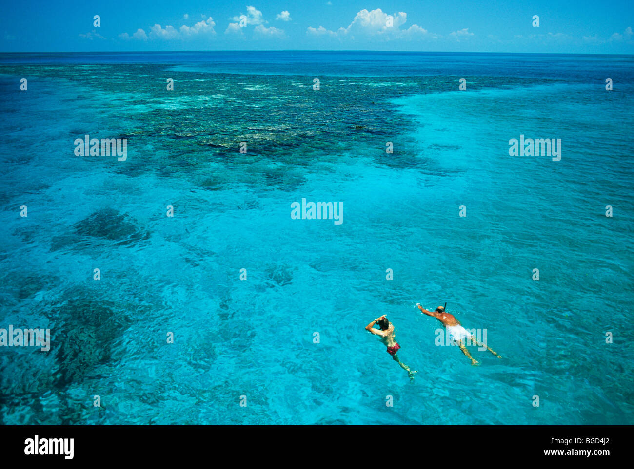 Belize, men snorkeling, Blue Hole, Lighthouse Reef, Belize Barrier Reef Stock Photo