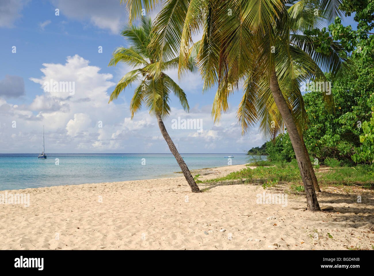 Sprat Hall Beach, St. Croix island, West Coast, U.S. Virgin Islands, United States Stock Photo