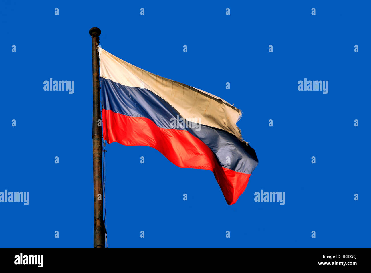 Flag of Russia, Russian Federation, foer, Flagge von Russland, Russische  Foerderation Stock Photo - Alamy