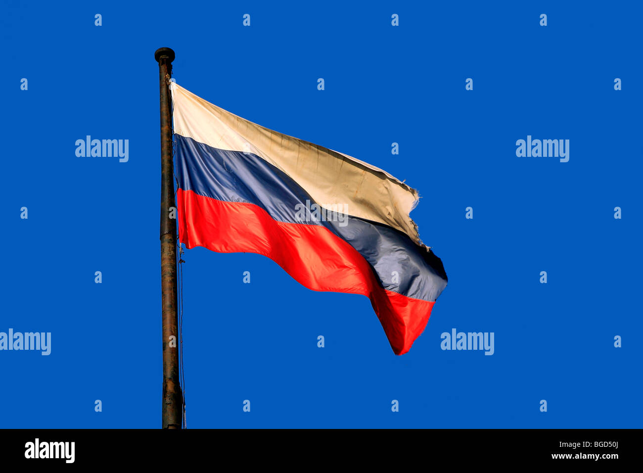 18,100+ Russian Flag Stock Photos, Pictures & Royalty-Free Images