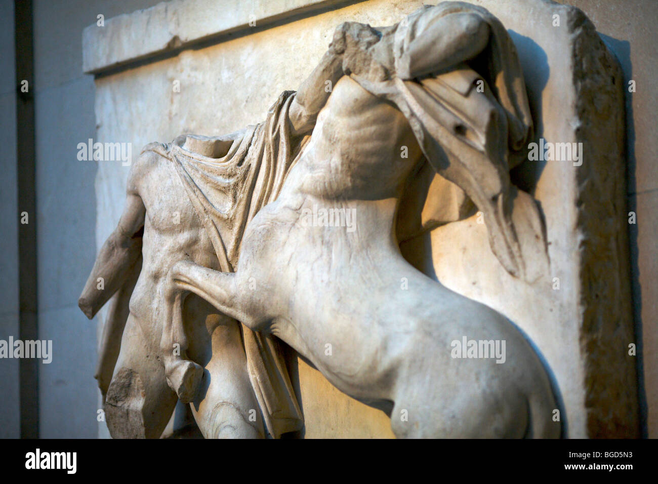 Details of the sculpted panels or meotopes from The Parthenon showing fight between Lapiths and centaurs in the British Museum Stock Photo