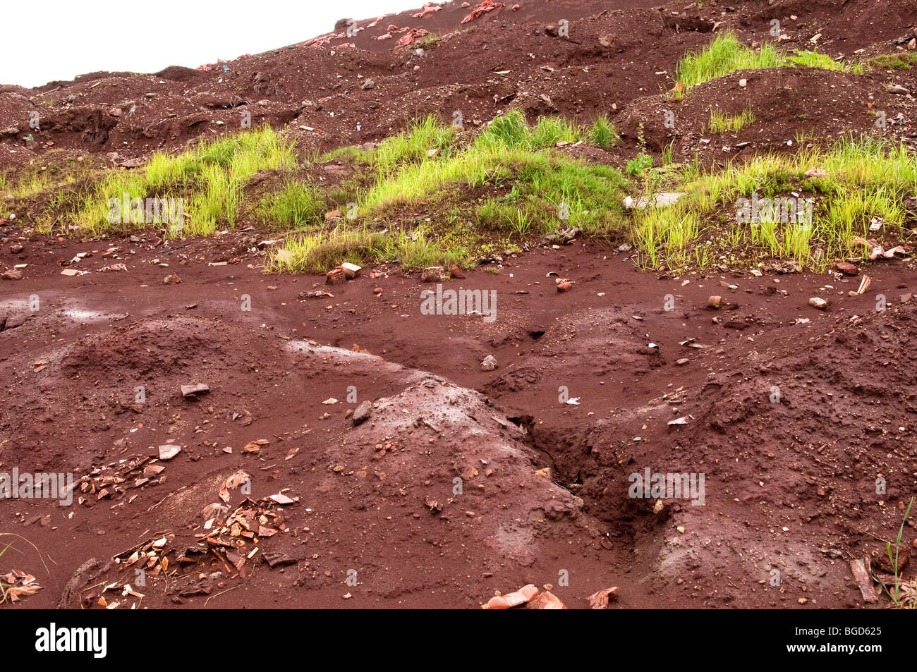 Hazardous Chemical Industrial pollution from disused Phosphorus Pentoxide factory near Ploiesti Romania Eastern Europe Stock Photo