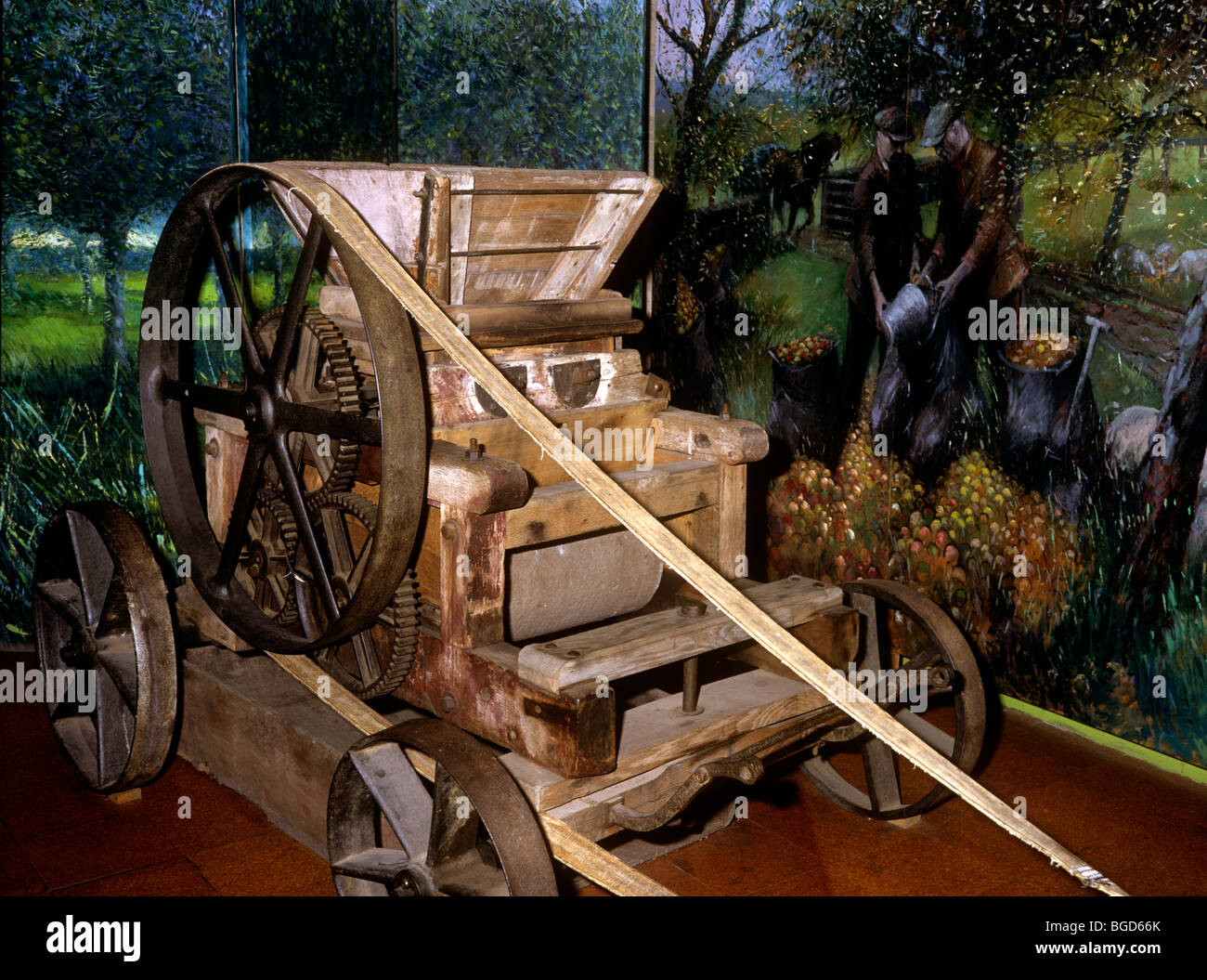 UK, England, Herefordshire, Hereford Cider Museum, old cider apple mill