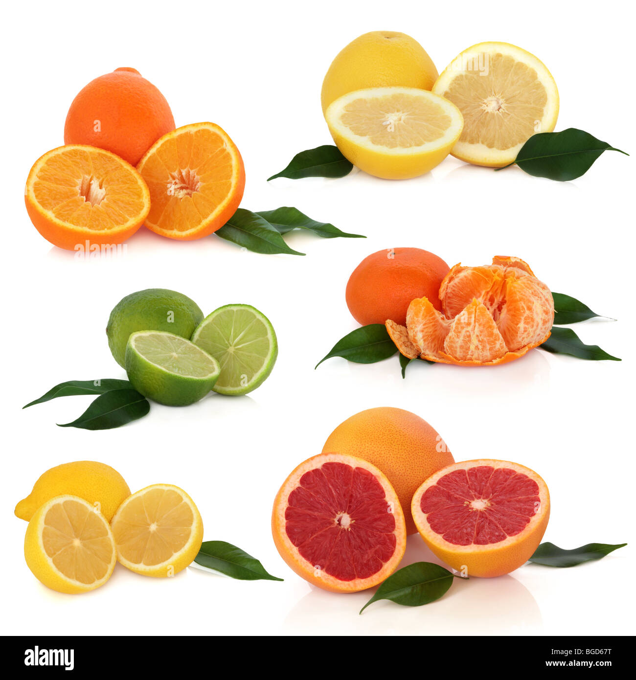 Citrus fruit collection of lemons, limes, oranges, tangerine and grapefruit with leaf sprigs, isolated over white background. Stock Photo