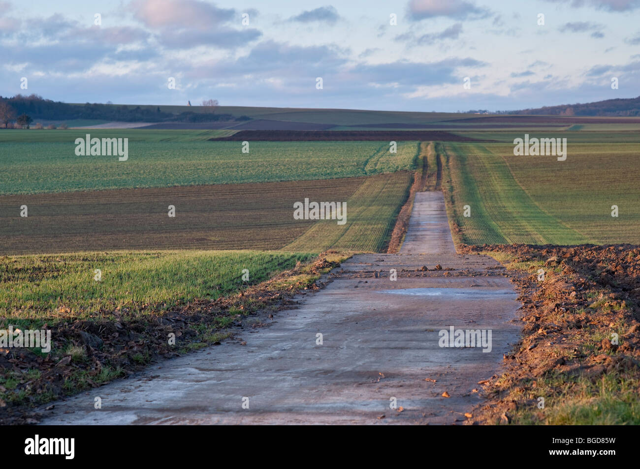 Landscape in late autumn - fields and dirt road Stock Photo