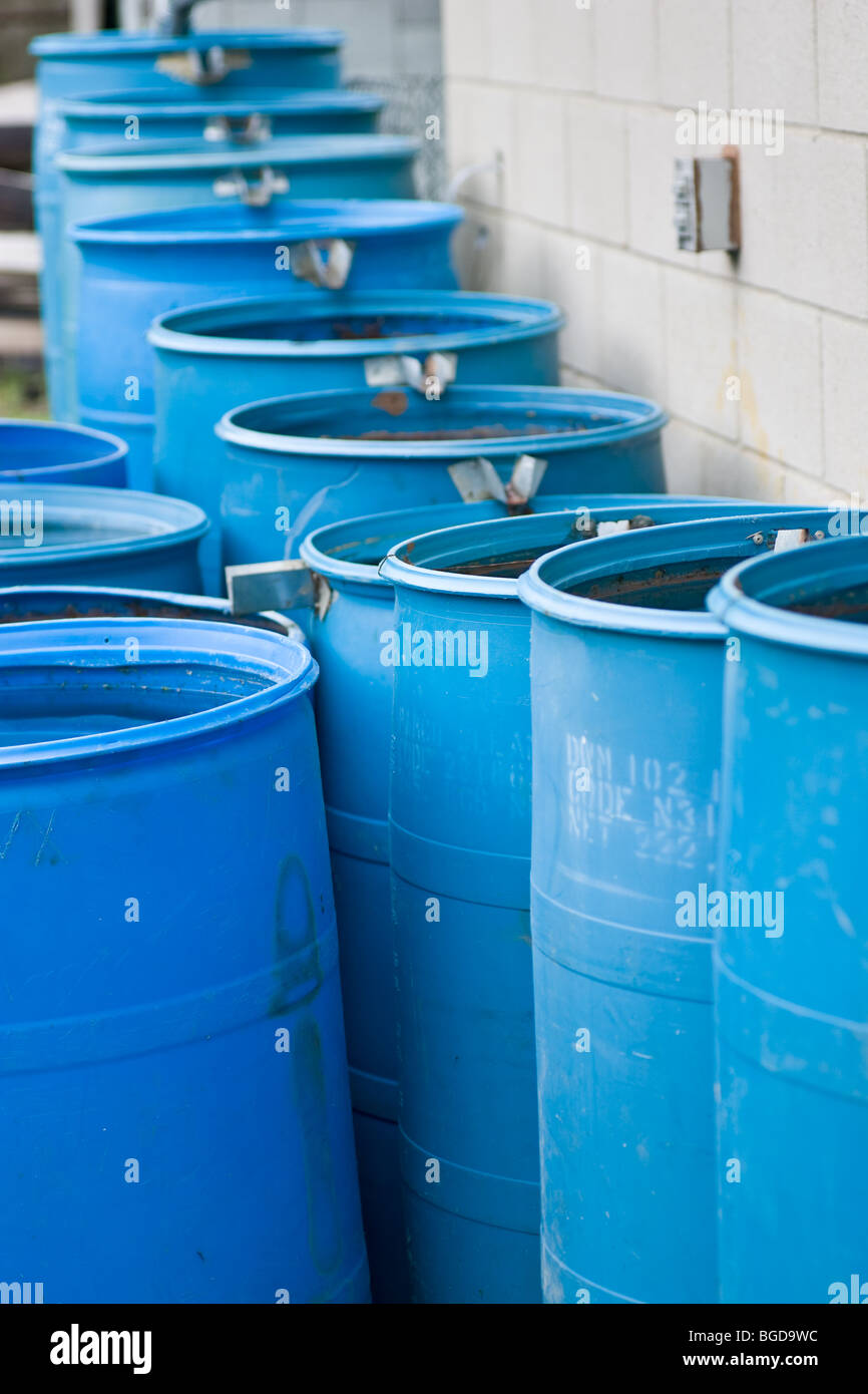 A bunch of blue rain barrels, setup in such a way to flow into each