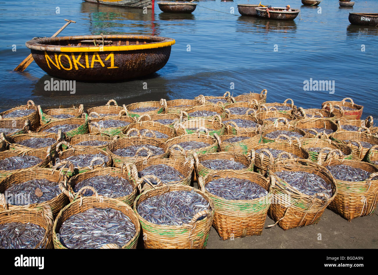 Fish catch in baskets Vietnam Stock Photo Alamy