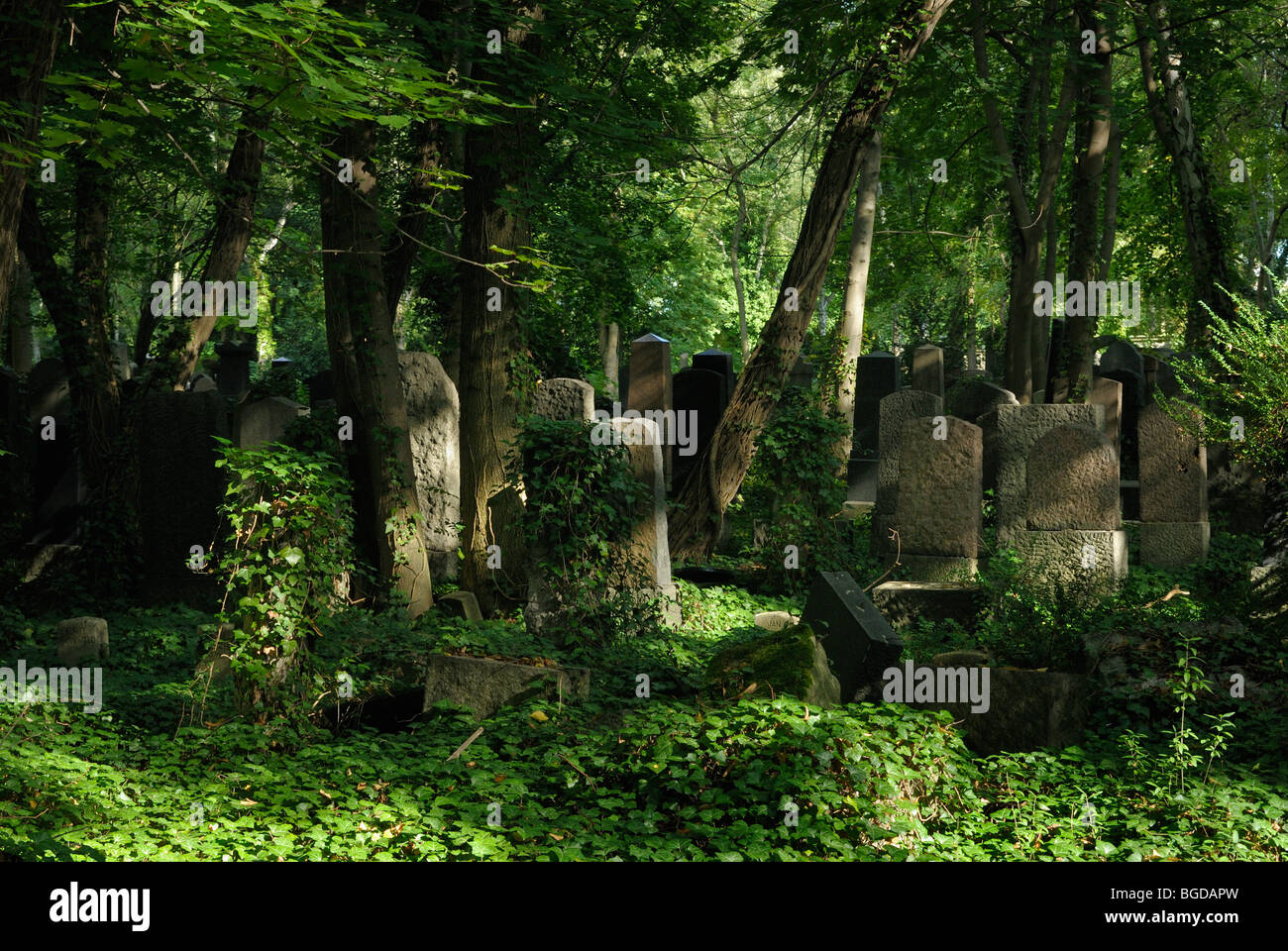 Juedischer Friedhof Weissensee, Jewish Cemetary Weissensee, Berlin, Germany, Europe. Stock Photo