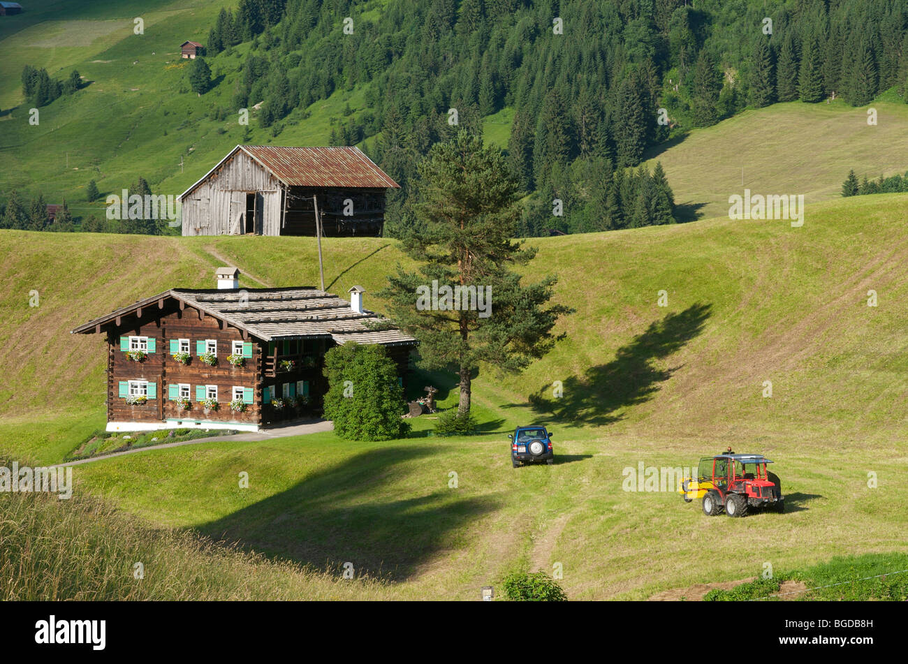 Hay harvest in Hirschegg in the Kleinwalsertal valley, Allgaeu, Vorarlberg, Austria, Europe Stock Photo
