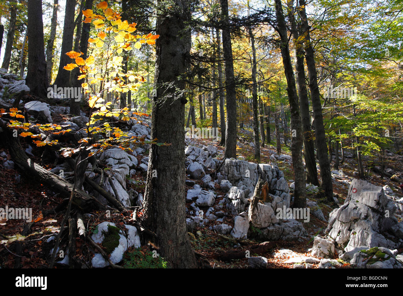 Risnjak kroatien hires stock photography and images Alamy