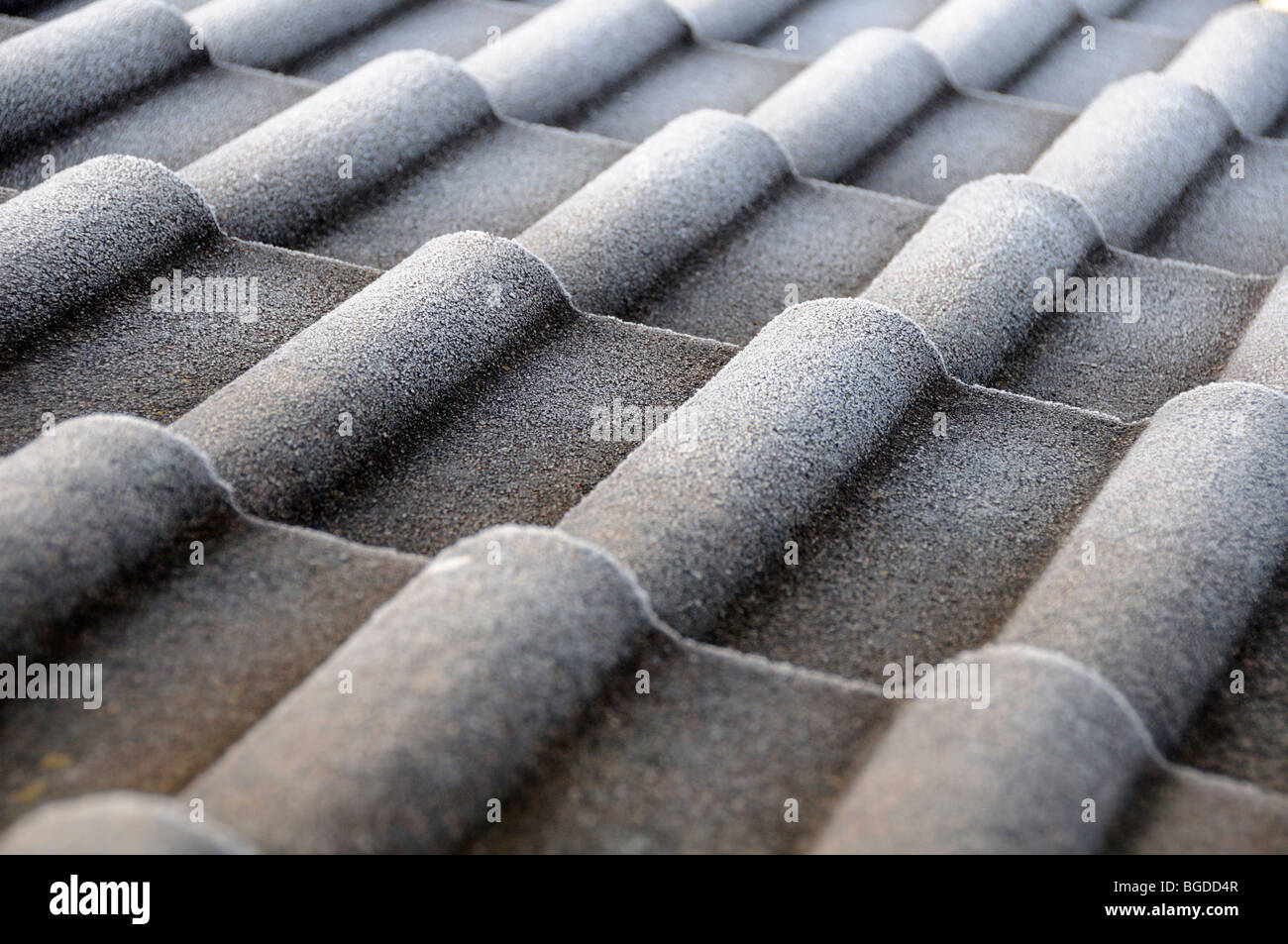 roof tiles covered with frost Stock Photo