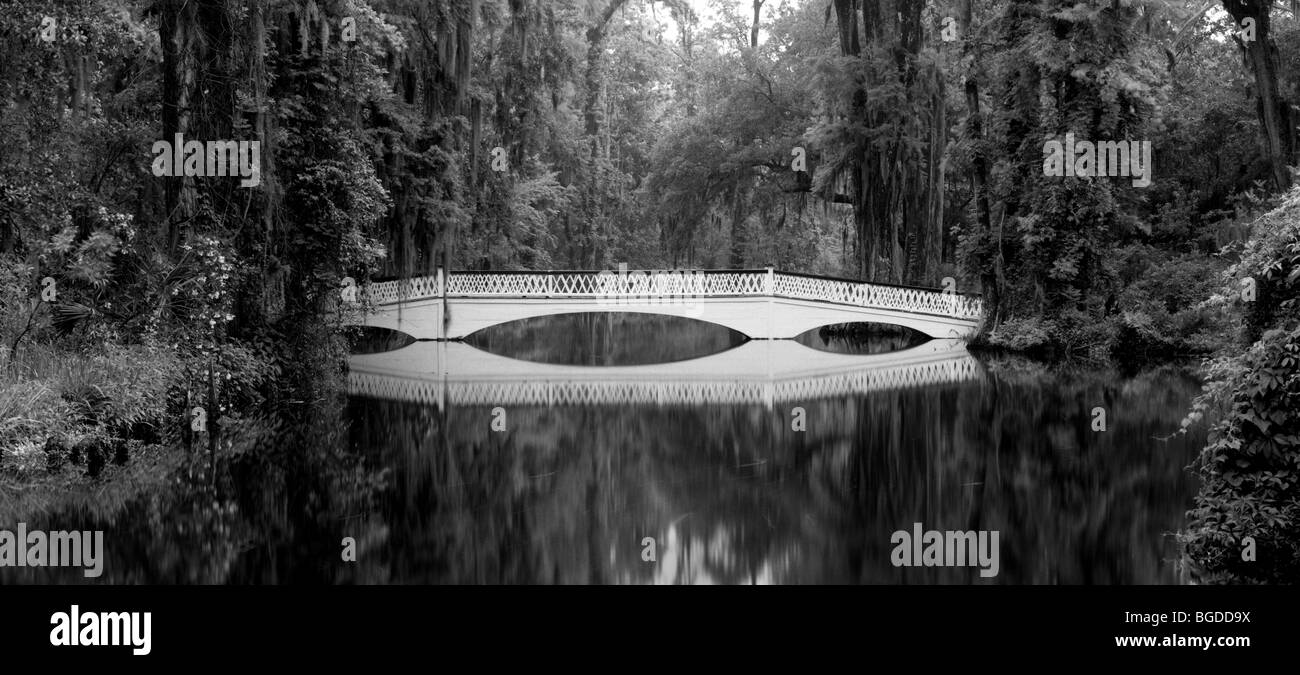 SOUTH CAROLINA Bridge at Magnolia Gardens Stock Photo Alamy