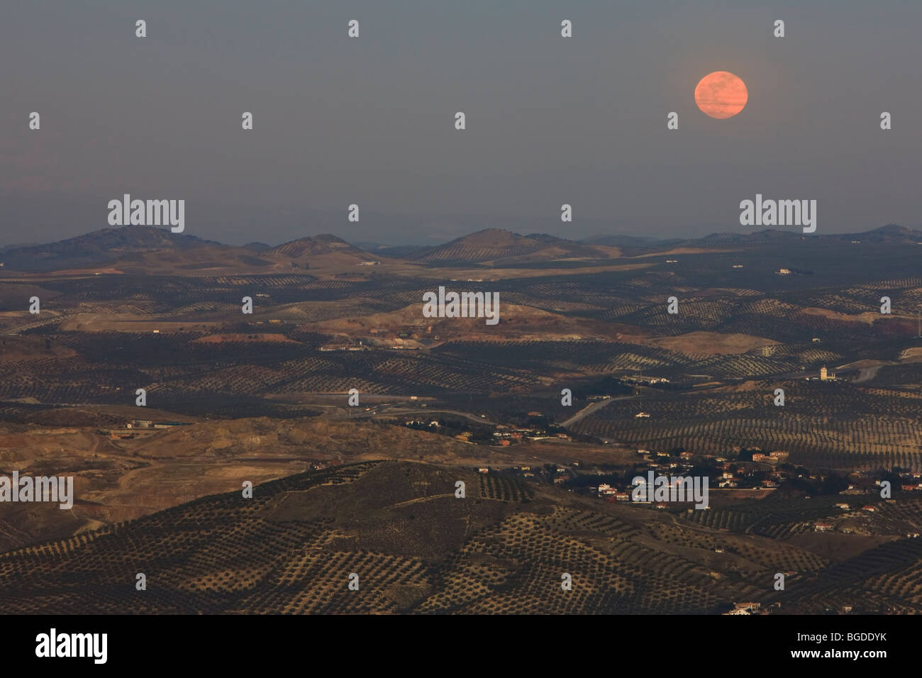 Moon rise after sunset over Olive Groves and the City of Jaen, Province of Jaen, Andalusia (Andalucia), Spain, Europe. Stock Photo