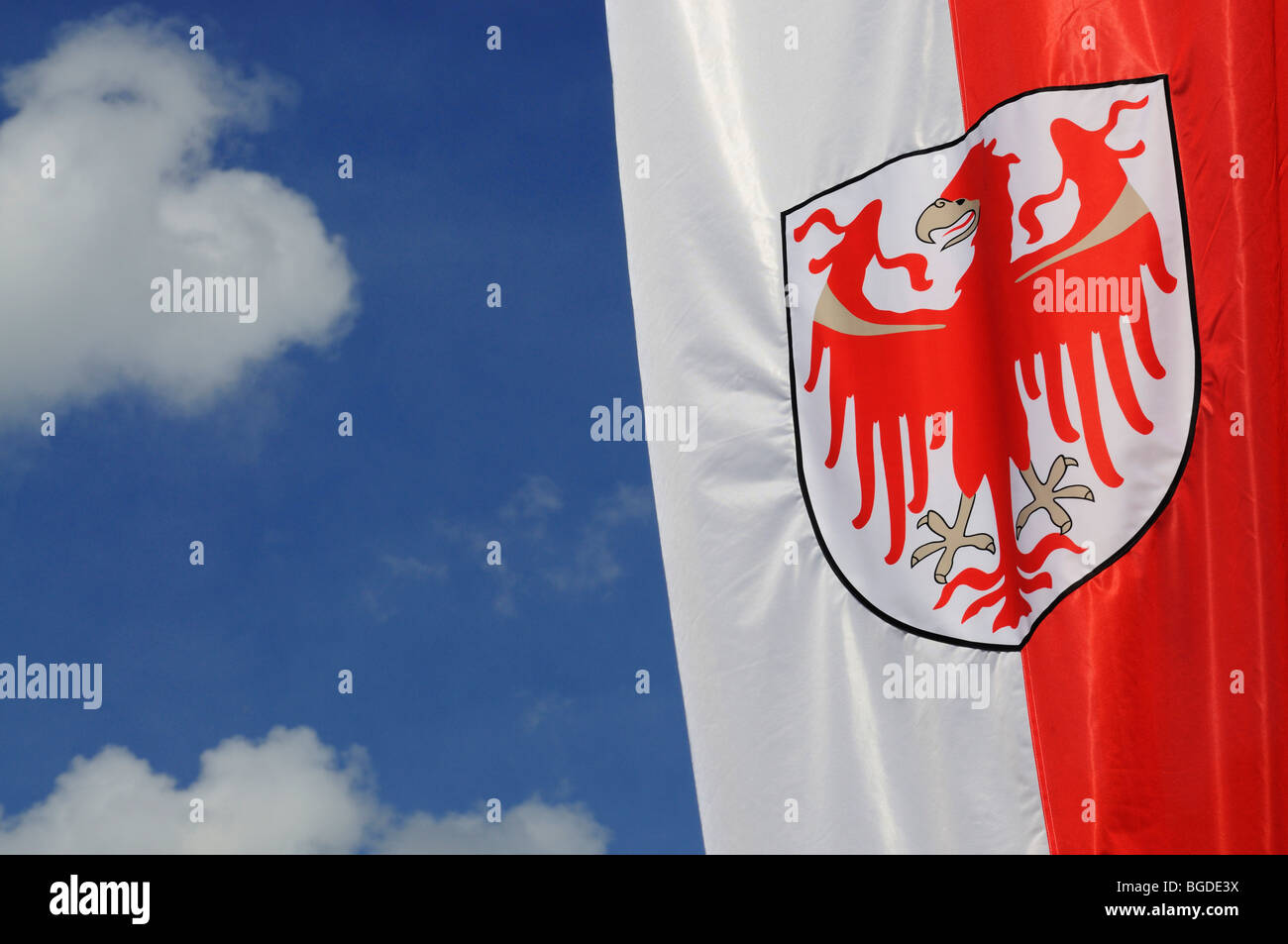 State flag, South Tyrolean eagle, South Tyrol, Italy, Europe Stock Photo