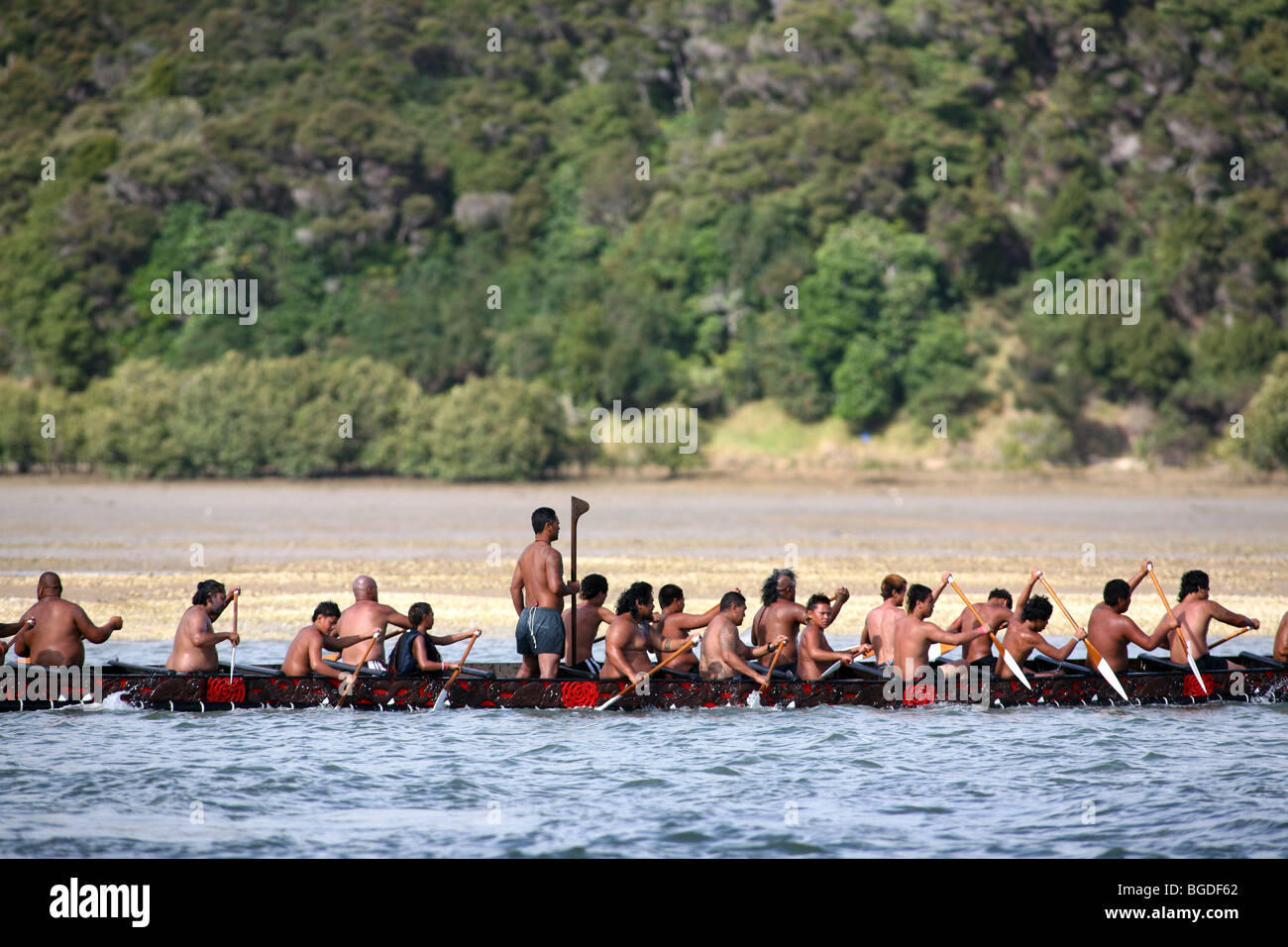 A Waka Taua (war canoe) on the Waitangi River during Waitangi Day celebrations, New Zealand Stock Photo