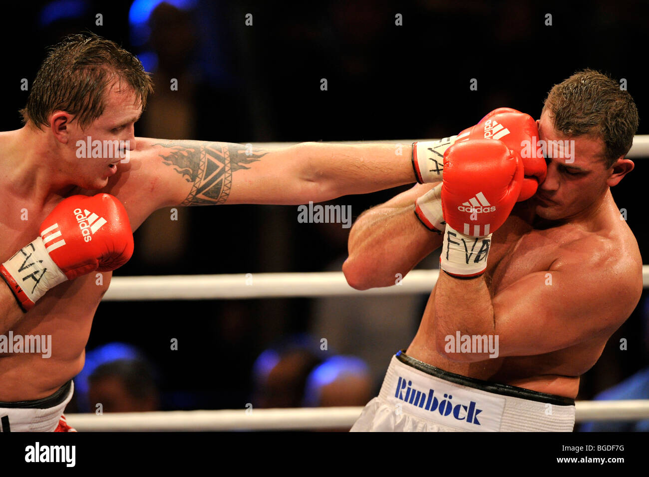 Boxing, Evgeny Orlov, RUS, vs Francesco PIANETA, GER, heavyweight, Neue Arena Ludwigsburg, Baden-Wuerttemberg, Germany, Europe Stock Photo