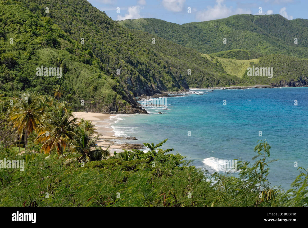Carambola Beach on the slopes of the tropical rain forest, north-west coast, St. Croix island, U.S. Virgin Islands, United Stat Stock Photo