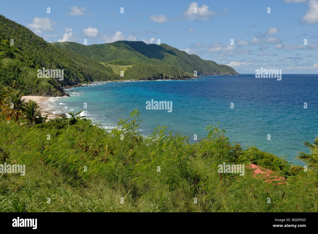 Carambola Beach, north west coast, St. Croix island, U.S. Virgin Islands, United States Stock Photo