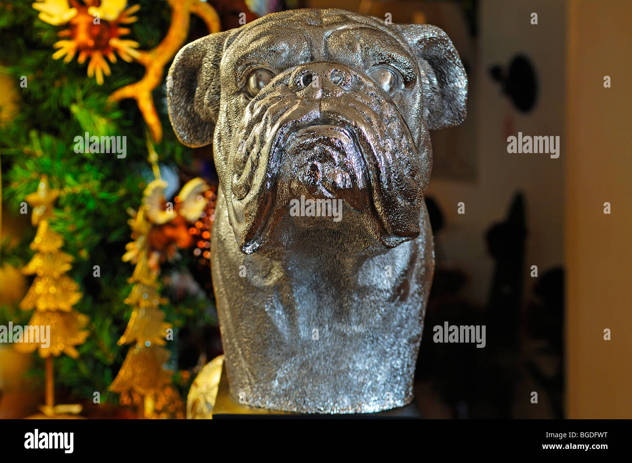 Silver bust of a bulldog, Villa Ambiente, Im Weller, Nuremberg, Middle Franconia, Bavaria, Germany, Europe Stock Photo