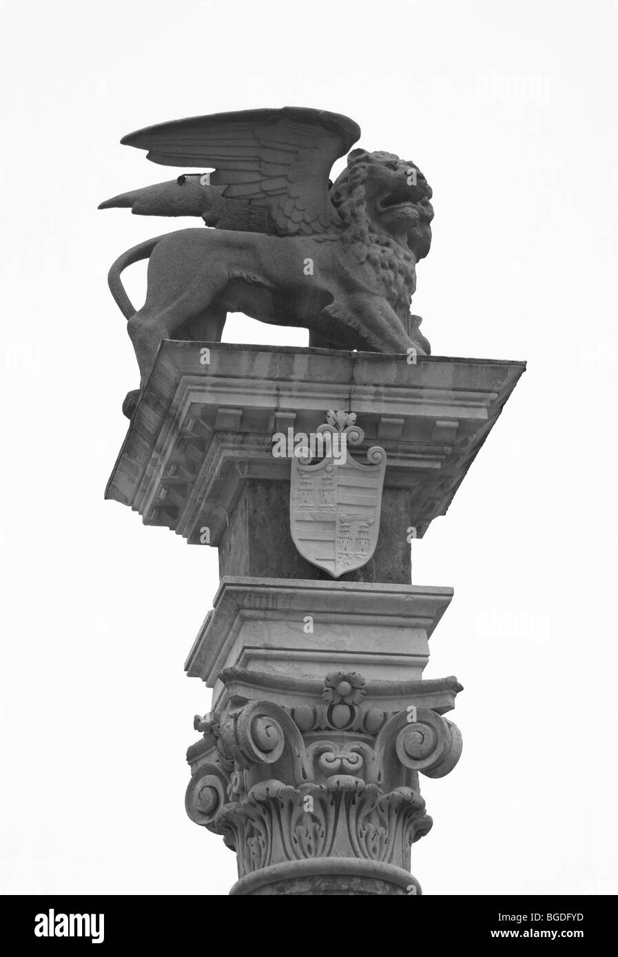 St. Mark's Lion, national emblem and landmark of Venice, Piazza Libertà, Udine, Friuli-Venezia Giulia, Italy, Europe Stock Photo