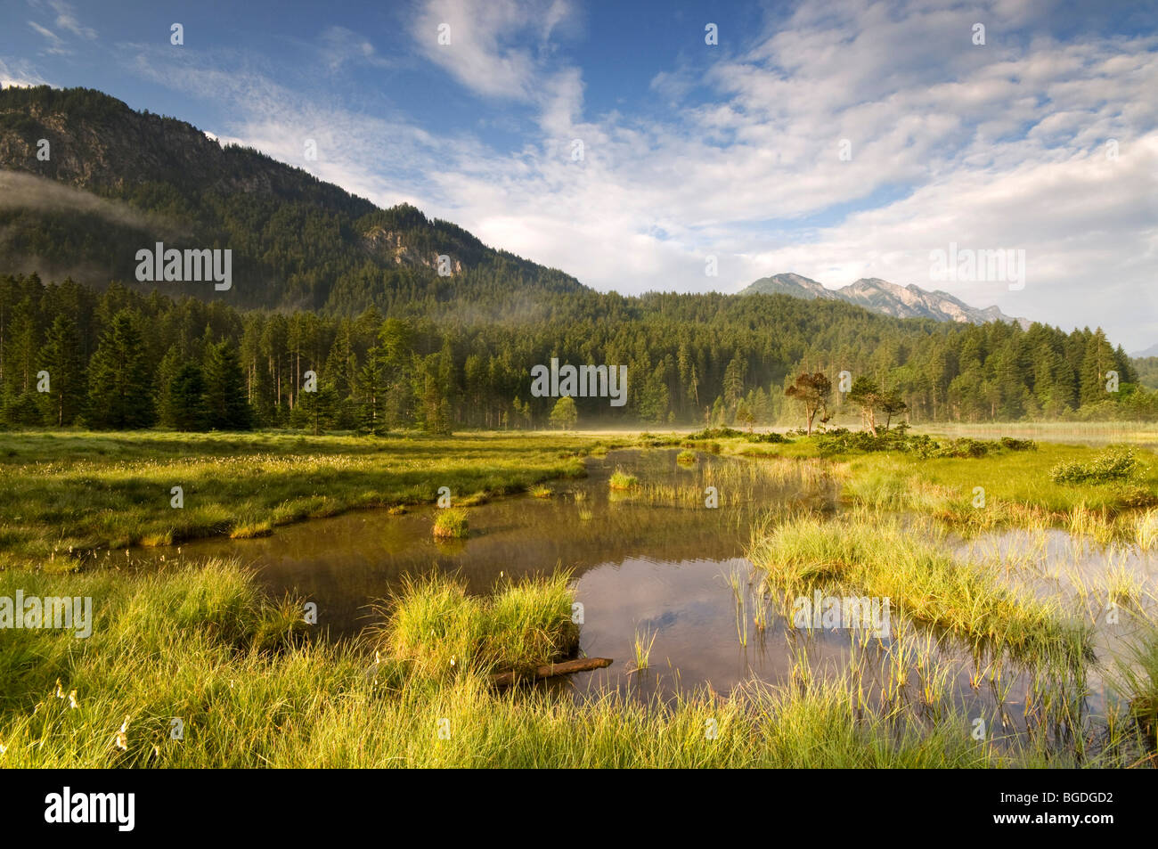 Lake Riedener, Rieden, Lech Valley, Ausserfern, Tyrol, Austria, Europe Stock Photo