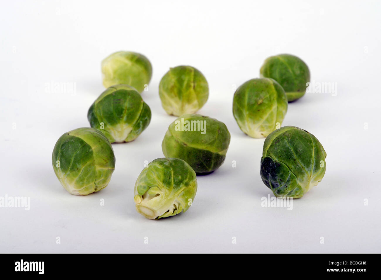 Brussels sprouts (Brassica oleracea Stock Photo Alamy