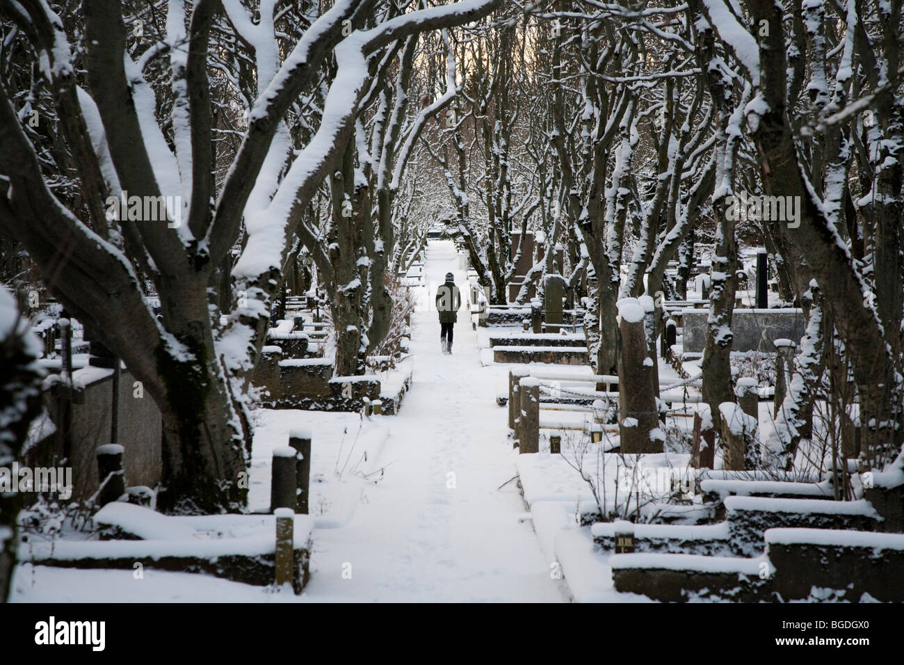 Girl walking away in Holavallagardur cemetery. Reykjavik, Iceland. Stock Photo