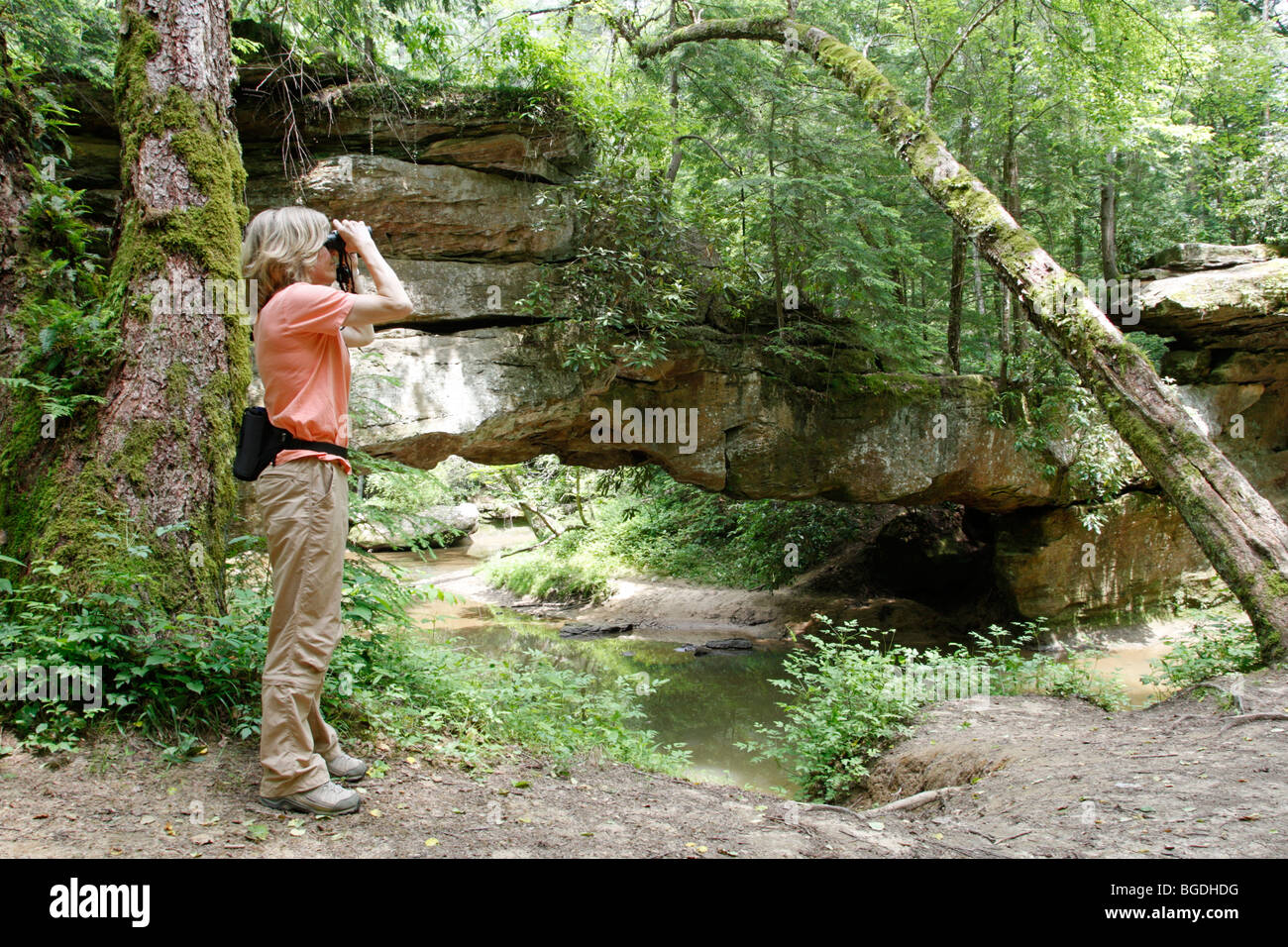 Woman Birdwatcher at Red River Gorge in Daniel Boone National Forest Kentucky Stock Photo
